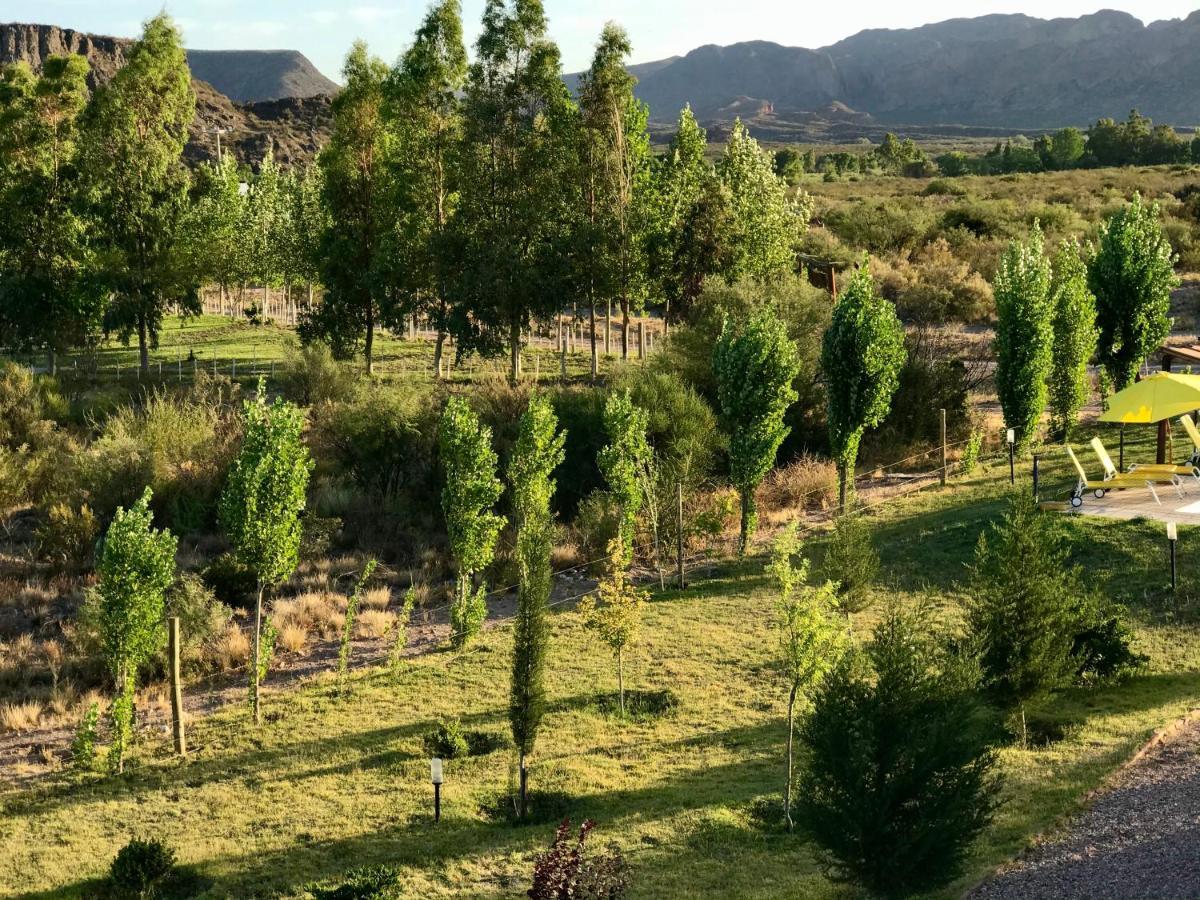 Valle Grande  Cabanas Econature מראה חיצוני תמונה